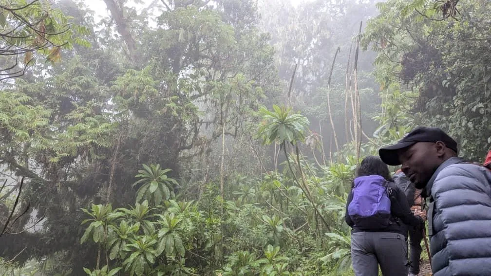 Mount Kilimanjaro trekking landscape